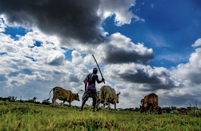 सियासी दलों में मची किसान हितैषी बताने की होड