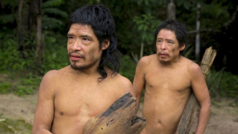 अमेज़न के जंगलों की कटाई के साथ विलुप्त होने की क़गार पर हैं कई आदिम जातियां