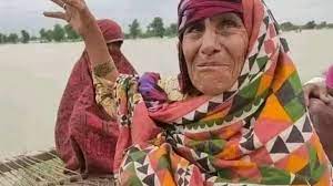 पाकिस्तान: 'मैं और मेरे साथियों ने बाढ़ के पानी से कई लाशें निकाली हैं...'