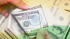 भारत के विदेशी मुद्रा भंडार में 8.13 अरब डॉलर की आई कमी