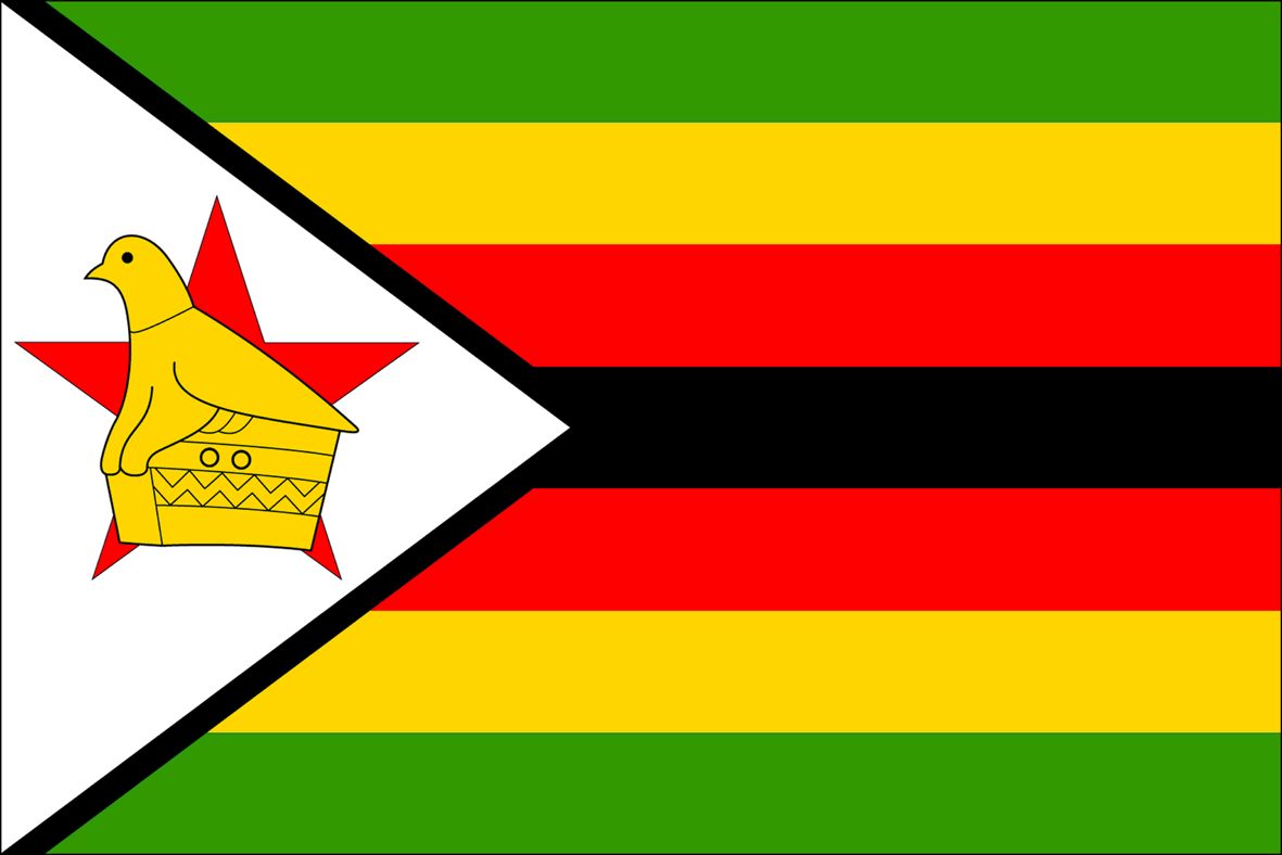 जिम्बॉब्वे का नया संविधान