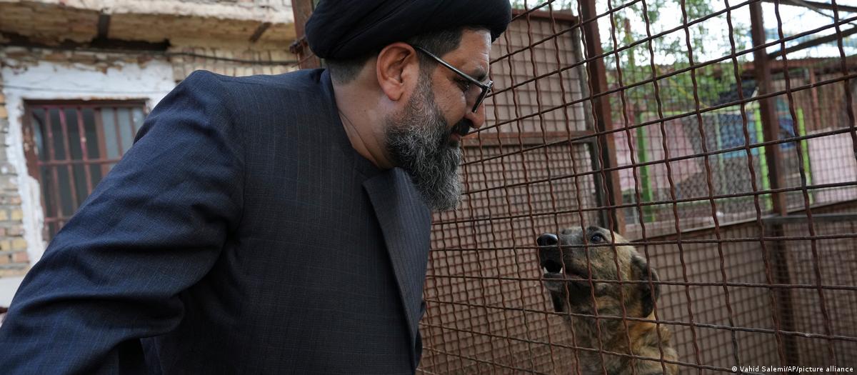 ईरान में आवारा कुत्तों का प्रेमी कैसे बना एक मौलाना