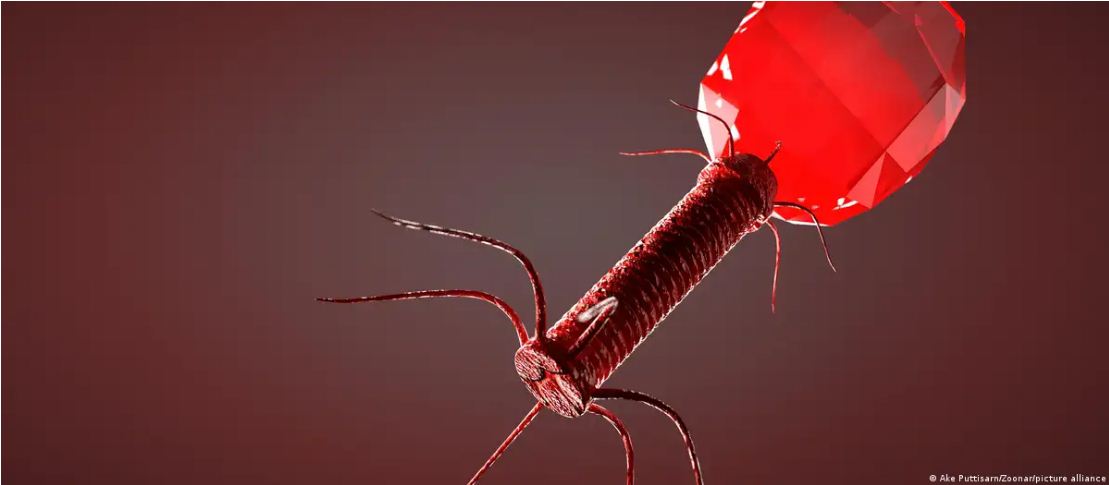 बुरे बैक्टीरिया से लड़ने वाले 'अच्छे वायरस'