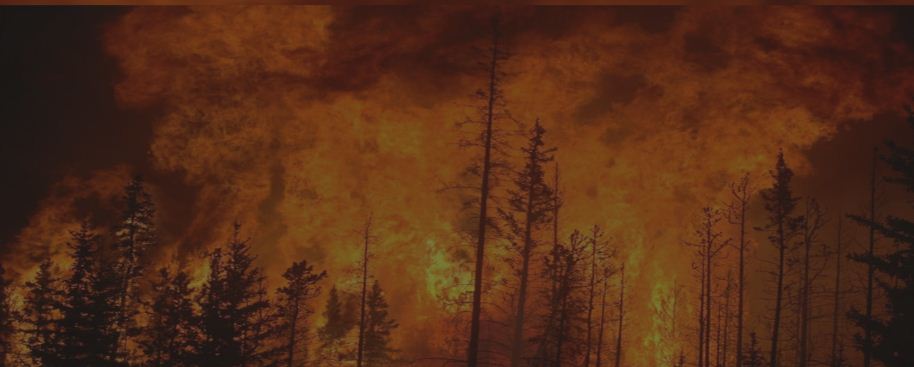 ‘छत्तीसगढ़’ का संपादकीय :  इंसानों के भागने से तेज फैलती जंगलों की आग से सबक लेने की जरूरत