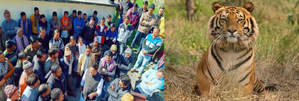 बाघ का आतंक : तीन दिनों में दो लोगों को शिकार बनाने वाले बाघ आदमखोर घोषित, शिकारी दल तैनात