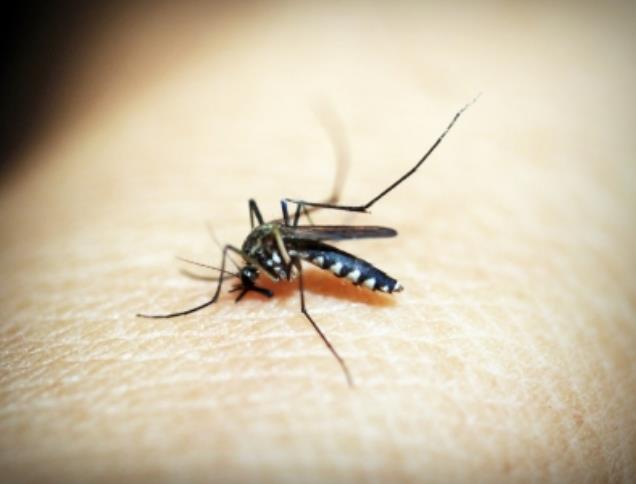 मलेरिया के ट्रांसमिशन पैटर्न को बदलने में जलवायु परिवर्तन जिम्‍मेदार : विशेषज्ञ