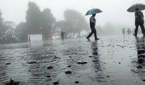 गुजरात के कई इलाकों में हुई भारी बारिश, पलसाना में मात्र दस घंटों में 153 मिमी वर्षा