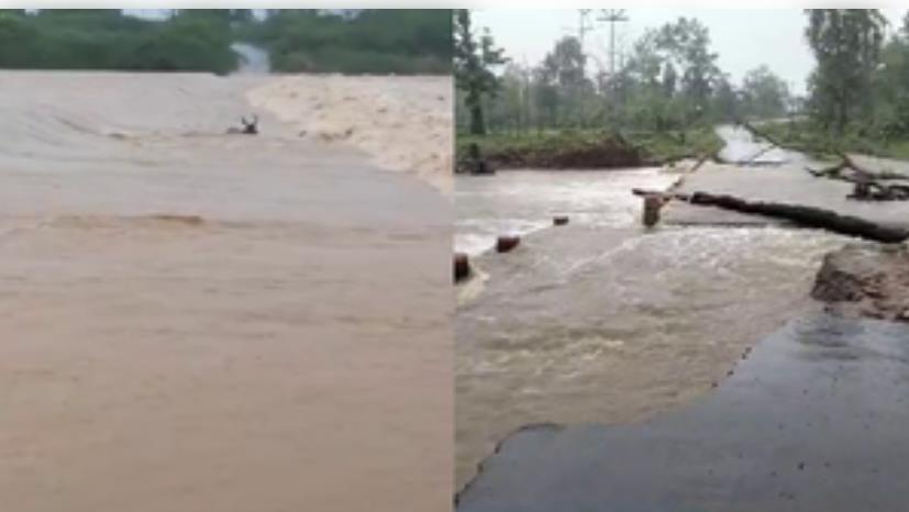 महाराष्ट्र और गुजरात में बाढ़ का कहर, गढ़चिरौली में डूबे कई गांव, कच्छ में बही 15 गायें 