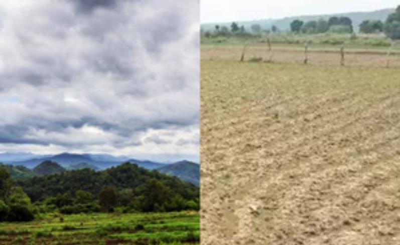 बिहार : उमड़ घुमड़ कर बिन बरसे लौट रहे बादल, किसानों की टूट रही आस 