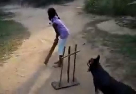 तेंदुलकर कुत्ते की 'शार्प बॉल कैचिंग स्किल' से हुए प्रभावित, वीडियो पोस्ट किया