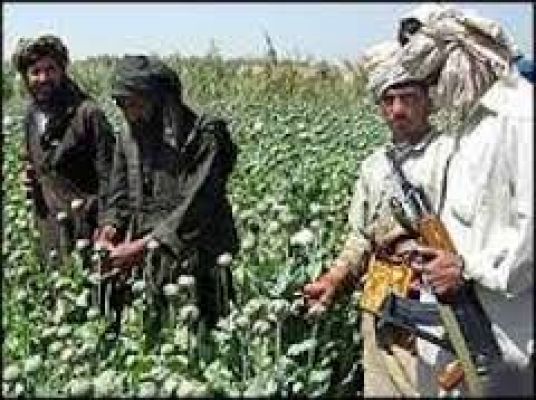 अफगानिस्तान में अफीम की खेती