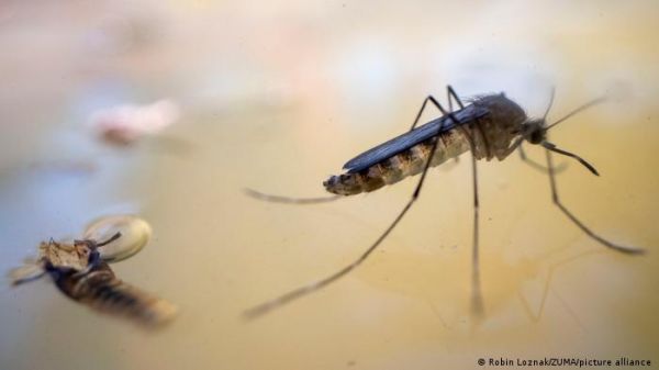 मलेरिया को खत्म करने की नई तकनीक