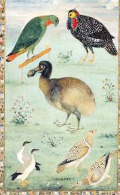 भारतीय संस्कृति में पक्षियों का महत्व