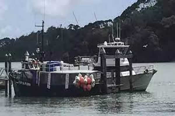 न्यूजीलैंड के तट पर नौका डूबने से चार लोगों की मौत, एक अन्य लापता