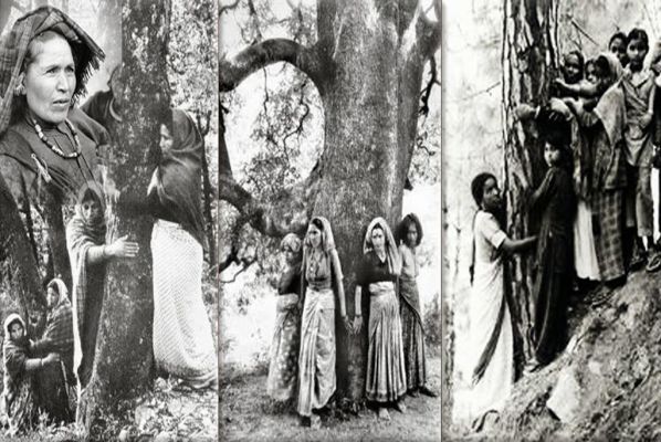 26 मार्च ‘चिपको आंदोलन’ की वर्षगांठ: क्या भारत को वनों के संरक्षण के लिए इसकी फिर से जरूरत है?