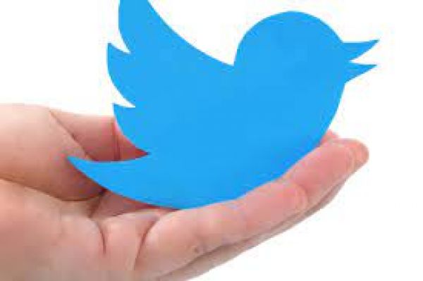 कैसे ट्विटर का लोगो बन गई चिड़िया और किसने बनाया