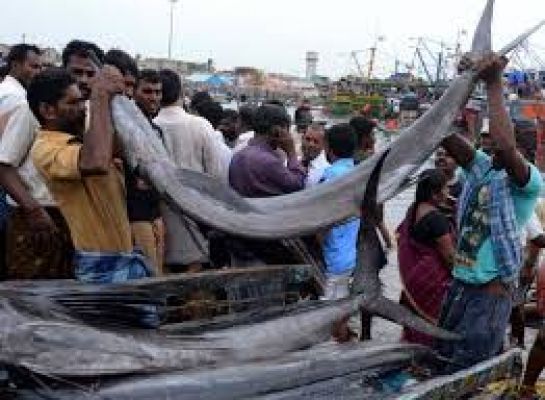 केरल में मछली उत्पादन