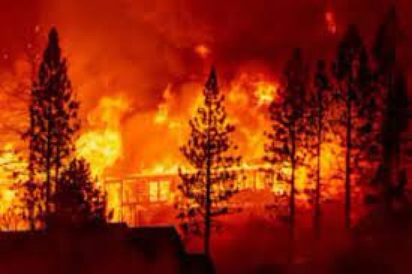 अमेरिका: फ्लैगस्टाफ में जंगल में लगी आग, स्थानीय लोगों को क्षेत्र से निकाला गया