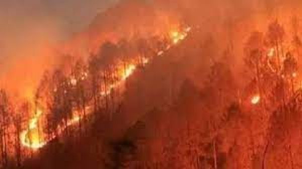 पश्चिमी अमेरिका में जंगल में आग लगने के कारण एरिजोना से लोगों को निकाला गया