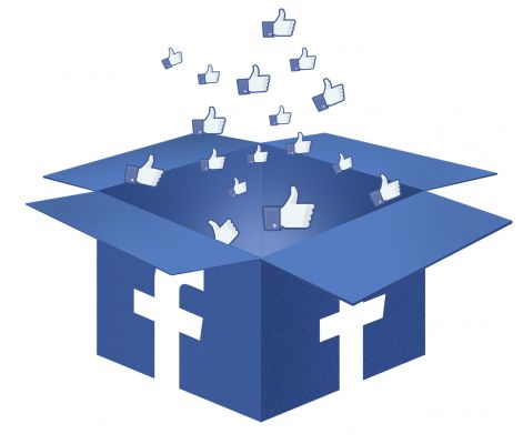 फेसबुक कूड़ादान या जनता तक पहुँचने की सीढ़ी?