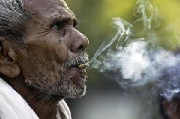 भारत में तम्बाकू का प्रयोग कितना होता है?