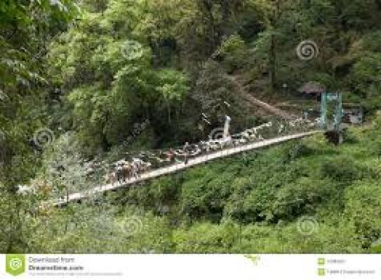 विश्व विरासत सूची में शामिल हुआ कंचनजंगा राष्ट्रीय उद्यान