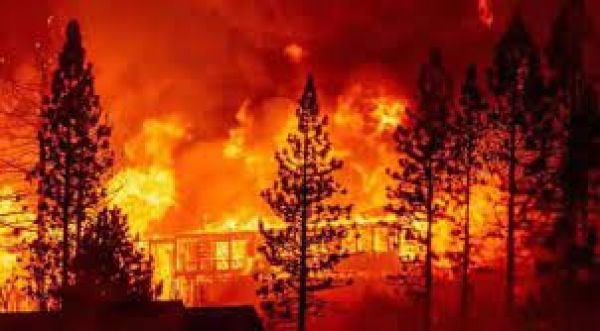 कैलिफोर्निया में जंगल में लगी भीषण आग, हजारों लोगों को घर छोड़ने का आदेश