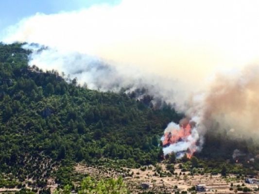 तुर्की के जंगल में आग लगने से 400 से अधिक लोग हुए बेघर