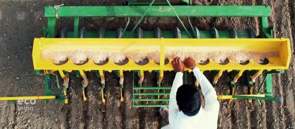 चावल निर्यात पर भारत की रोक से दुनियाभर में अफरा-तफरी