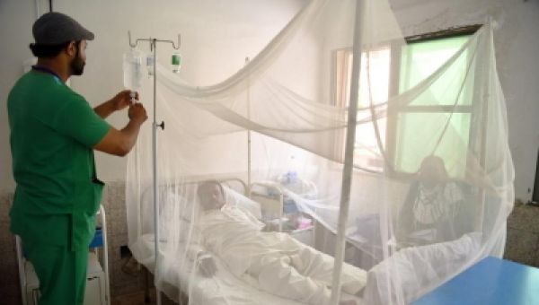 पाकिस्तान में तेजी से बढ़ रहे डेंगू के मामले