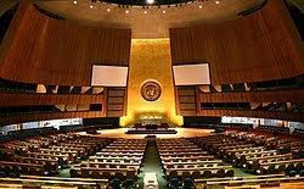 संयुक्त राष्ट्र आम सभा में इतने देशों ने लिया भारत का नाम