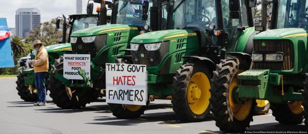न्यूजीलैंड: गायों की डकार पर सरकार और किसानों के बीच तकरार