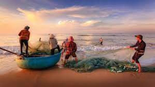 श्रीलंका की नौसेना ने मछली पकड़ने के आरोप में 12 भारतीय मछुआरों को गिरफ्तार किया