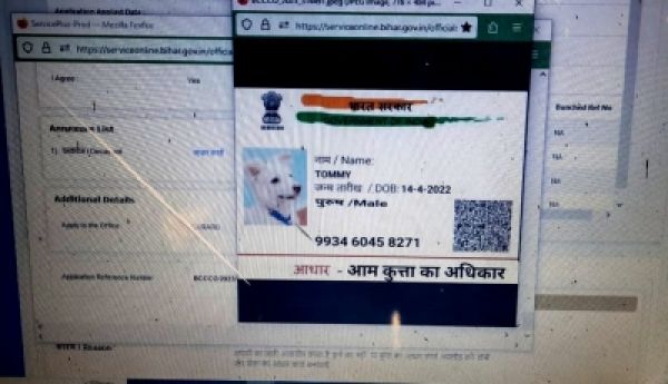 बिहार में जाति प्रमाण पत्र बनवाने के लिए कुत्ता 'टॉमी' ने दिया ऑनलाइन आवेदन!