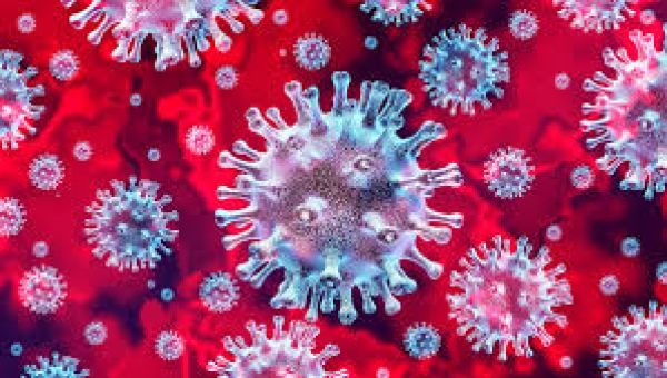  देश में कोरोना वायरस संक्रमण के उपचाराधीन मरीजों की संख्या बढ़कर 7,026 हुई