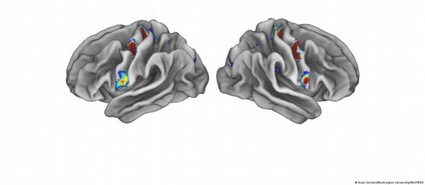 दिमाग और शरीर के बीच रिश्ता ढूंढा वैज्ञानिकों ने