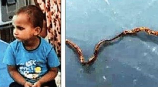 यूपी के गांव में तीन साल की बच्चे ने चबाया जिदा सांप