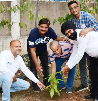  रायपुर एडवरटाइजिंग एजेंसी एसोसिएशन   द्वारा पर्यारवरण दिवस पर पौधरोपण