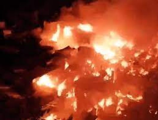 ग्रीस के जंगलों में भड़की आग की वजह से घर और होटलों में रहने वाले हज़ारों लोग प्रभावित
