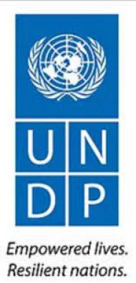 संयुक्त राष्ट्र संघ के गरीबी अनुमानों की दरिद्रता