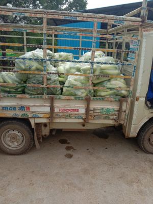 अशोक पटवा ने फुण्डहर गौठान में किया 1045 किलो सब्जी का दान 
