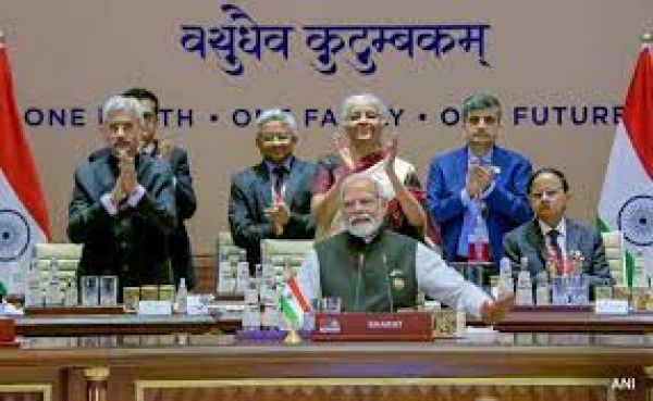 जी20 शिखर सम्मेलन: प्रधानमंत्री मोदी ने जलवायु परिवर्तन, हरित वित्त पर वैश्विक प्रयास का आह्वान किया