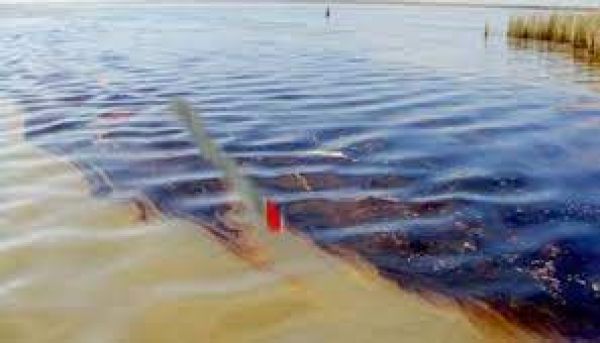 आईआईटी गुवाहाटी ने पानी से तेल अलग करने वाला तंतु विकसित किया