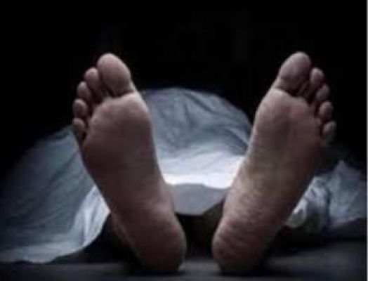 असम में सड़क दुर्घटना में दो युवकों की मौत
