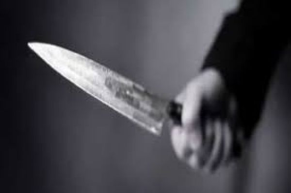 अमेरिका: कैलिफोर्निया में पांच साल के बच्चे ने अपने जुड़वा भाई को चाकू घोंपा