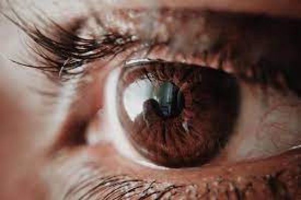 आंखों में रक्त प्रवाह परिवर्तन माइग्रेन रोगियों में दृश्यता संबंधी लक्षणों को कर सकता है प्रभावित