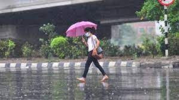 तमिलनाडु में भारी बारिश, कई जिलों में स्कूलों में छुट्टी घोषित