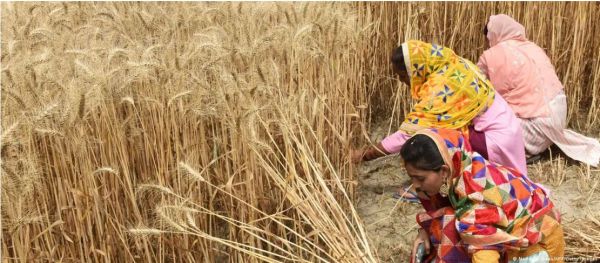 चुनाव से पहले महिला किसानों को बड़े तोहफे की तैयारी