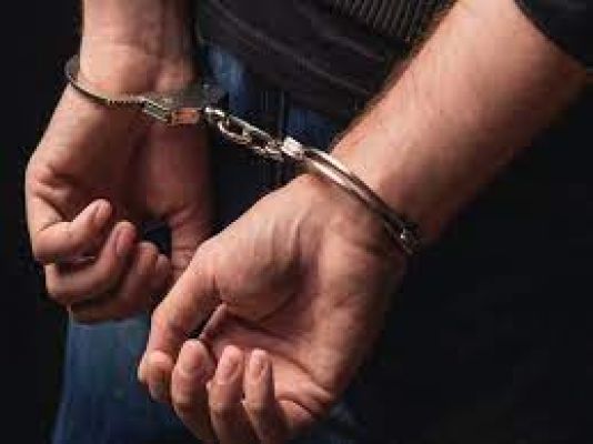पंजाब में आईएएस अधिकारी के पति को अनैतिक व्यापार के आरोप में हिरासत में लिया गया
