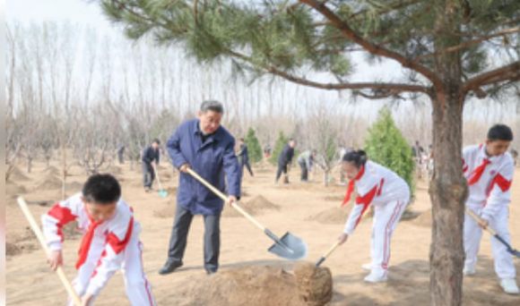 शी चिनफिंग ने वृक्षारोपण कर सुंदर चीन निर्मित करने पर बल दिया